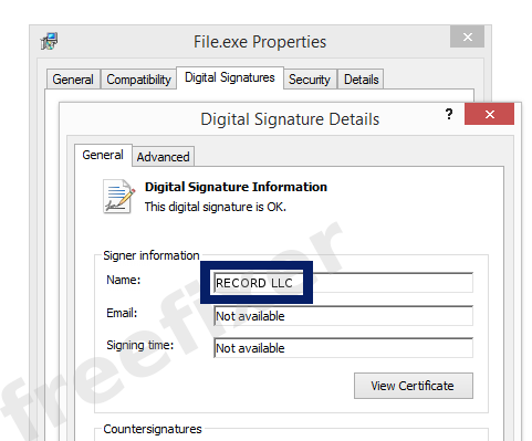 Screenshot of the RECORD LLC certificate